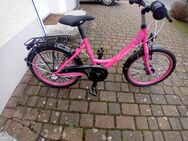 20 Zoll Kinderfahrrad - Lengerich (Nordrhein-Westfalen)