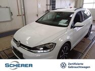 VW Golf Variant, 1.0 TSI United Comfortline, Jahr 2020 - Alzey