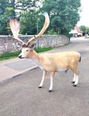 Dammhirsch Hirsch lebensgroß Dekofigur Gartendeko NEU in 06313