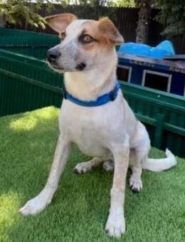 Xany möchte mit dir das Leben genießen - Koblenz