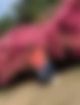 Jan*** - Seehausen (Altmark, Hansestadt)