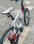 Mountainbike in 58119