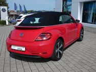 VW Beetle Cabrio 1.2 TSI SOUND XENON - Blaufelden