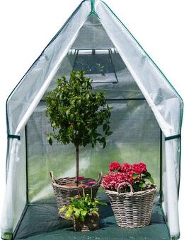 WESTMANN Foliengewächshaus Chili, BxTxH: 120 x 120 x 180 cm, Überwinterungszelt