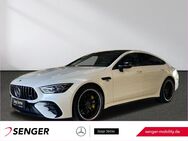 Mercedes AMG GT 53, Perf Abgasanlage, Jahr 2023 - Aurich