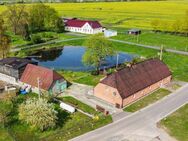 Großes EFH mit Ferienwohnung, riesigem Garten und eingezäuntem Teich in Ruhelage - Grammendorf