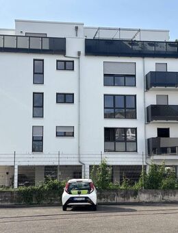 Super Penthouse Wohnung in Metternich zum 15.11 zu vermieten - Koblenz