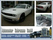 Dodge Challenger 3,6 Leder,Kamera,Sitzheizen - Rudolstadt