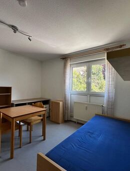 Möblierte moderne 1-Zimmer-Etagenwohnung in Bayreuth - Roter Hügel - Bayreuth