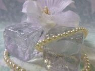 Halskette Perlenkette Süßwasser Zuchtperlen creme/weiß / GOLD 585 / 45cm - Zeuthen