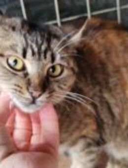 Juna; schön, sozial und bereit - Geilenkirchen