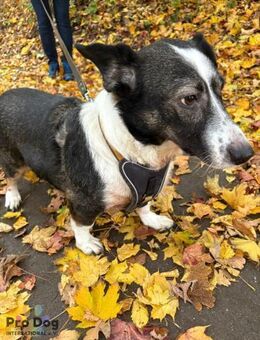 Leonie in Hückeswagen - Talkau