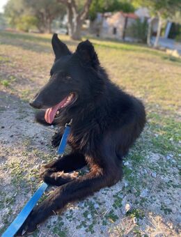 BERND der herzensgute, liebe Weggefährte - Berlin