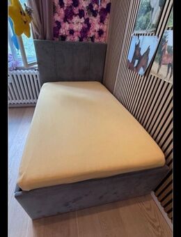 Bett Polsterbett - Berlin Steglitz-Zehlendorf