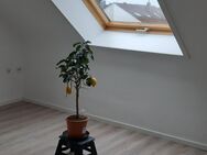 2 Zimmerwohnung ( Mansarde - Dachgeschoss ) - Oberasbach