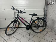 Fahrrad - Warstein