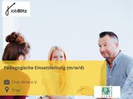 Pädagogische Einsatzleitung (m/w/d) - Trier