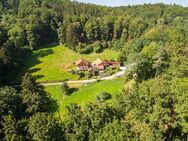 Ländl. Anwesen m. ca. 29.000 m2 Wiese/Wald m. eig. Quelle für Selbstversorger im "Lallinger Winkel"! - Grattersdorf