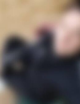 Ele*** - Blankenfelde-Mahlow