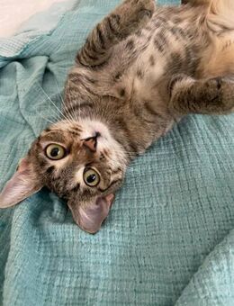 Verschmuste Sunny - Ellerbek