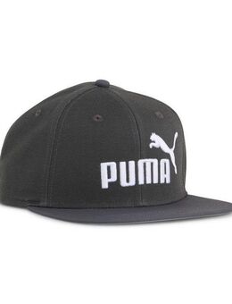 PUMA Flex Cap ESS No. 1 Logo Cap mit flachem Schirm Erwachsene