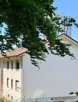 Mehrfamilienhaus auf ca. 3.000 m2 großem Grundstück - Lörrach