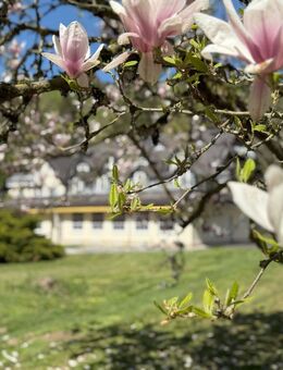 Stilvolle Privatresidenz in traumhafter Alleinlage - Ettringen (Rheinland-Pfalz)