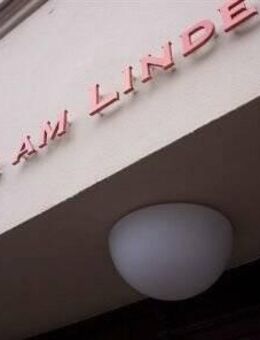 Palais am Lindenring * Zentrale Lage * 5 -Zimmer - Wohnung - Naumburg (Saale)