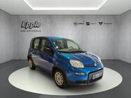 Fiat Panda, 1.0 GSE Hybrid, Jahr 2024 - Rutesheim