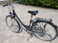 Kettler Alu Rad Damen - Pfaffenhofen (Ilm)