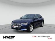 Audi e-tron advanced 55 qu. NAVI/HUD/KAM/MATRIX/STADT+TOUR/LEDER/SHZ - Darmstadt