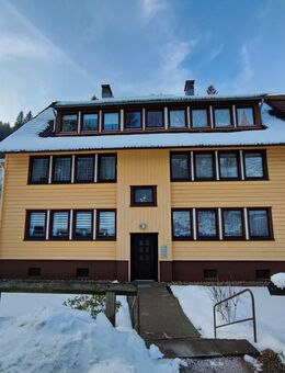 **2-Zimmer Wohnung in Wildemann** - Wildemann Zentrum