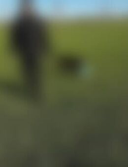 Fin*** - Buchholz (Nordheide)