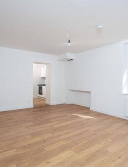 Charmante 1-Zimmer-Wohnung in einem Reetdachhaus - Schashagen