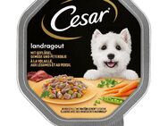 Megapack Cesar Schale 28 x 150 g - Landküche mit Geflügel und Gemüse in Sauce