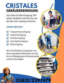 Professionelle Reinigung – sauber bis ins Detail - Stralsund
