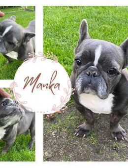 MANKA PP süsse Lady sucht ihr Glück - Neustadt (Rübenberge)