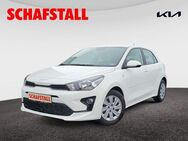 Kia Rio 1.2 EDITION 7 wenig KM Tempomat Sitzheizung Klima - Bergheim (Nordrhein-Westfalen)