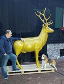 Hirsch lebensgroß 3D😉 mit Glitter Effekt Goldfarben lackiert Skulptur Tier Wald in 15754