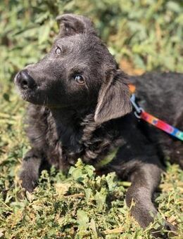 AFiNA ❤ grey is beautiful 🙏 - Mylau