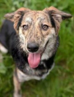 Zauberhafte Annegret sucht Zuhause - München