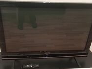 Samsung Plasma TV 42 Zoll - Holsthum