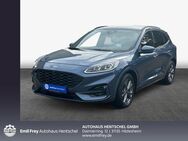 Ford Kuga 1.5 EcoBoost ST-LINE - Hildesheim