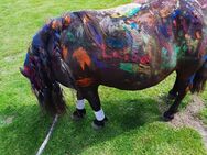 Kindergeburtstag mit einem Shetlandpony – ein unvergessliches Erlebnis! - Dortmund Aplerbeck