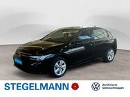 VW Golf, 2.0 TDI VIII Life, Jahr 2021 - Lemgo