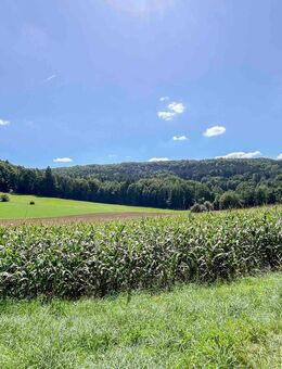 Kleines Häuschen mit idyllischem Garten in herrlicher Feldrandlage - Berg (Neumarkt)