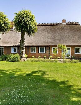 Schleinähe: Gepflegtes Reetdachhaus | Garten | Pavillon | Terrassen | Obstgarten | Nebengebäude - Nottfeld