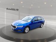 Skoda Octavia, 2.0 TDI Combi Ambition STH, Jahr 2021 - Fritzlar