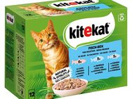 Kitekat Frischebeutel 48 x 85 g - Fisch Box in Gelee