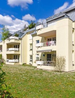Gepflegte Wohnung in ruhiger gefragter Wohnlage Trier zwischen Innenstadt und Stadion - Trier